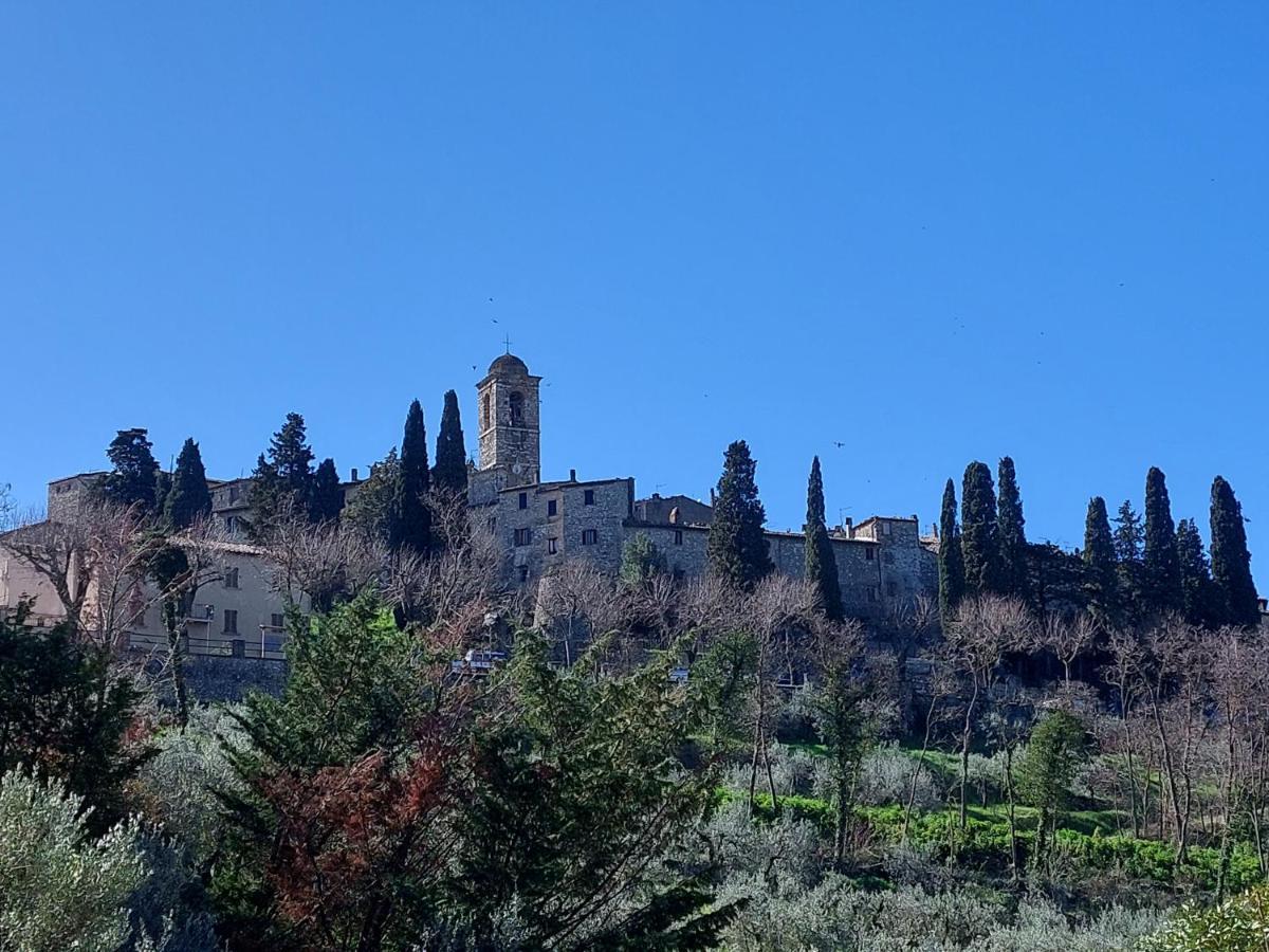 La Selvarella Montecchio  Extérieur photo